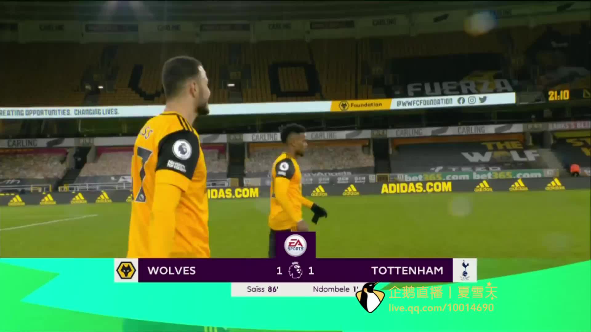 仅验证了球 仅验证了球